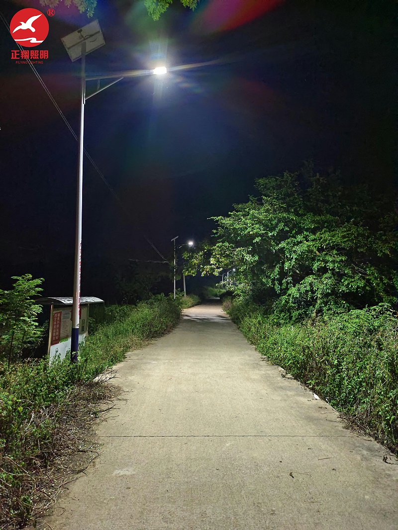廣西桂平鄉(xiāng)村太陽能路燈