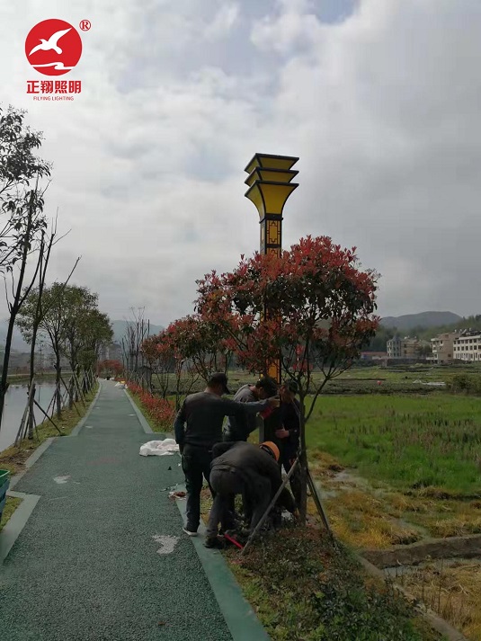 福建景觀(guān)燈安裝